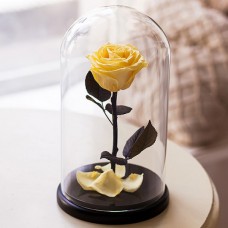 Стабилизированная роза в колбе (желтая)