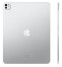iPad Pro 11" (M5)(2025) 256Gb